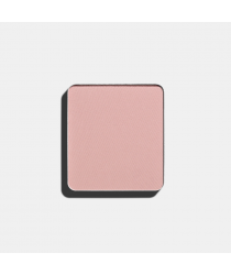 Тени для век Матовые системы FREEDOM SYSTEM EYE SHADOW MATTE NF 319