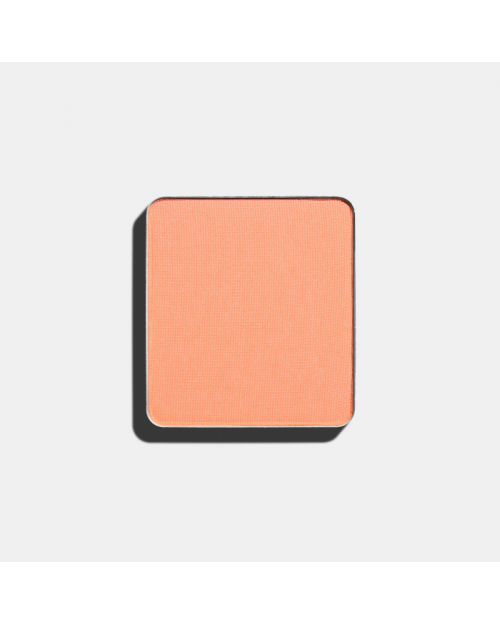 Тени для век Матовые системы FREEDOM SYSTEM EYE SHADOW MATTE NF 314