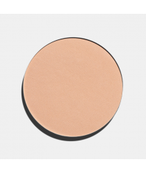 Пудра FREEDOM SYSTEM PERFECT FINISH PRESSED POWDER 16