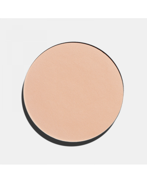 Пудра FREEDOM SYSTEM PERFECT FINISH PRESSED POWDER, тон 11