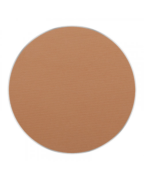 Пудра FREEDOM SYSTEM SATIN SKIN PRESSED POWDER 65