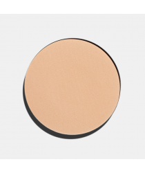 Пудра FREEDOM SYSTEM SATIN SKIN PRESSED POWDER 55