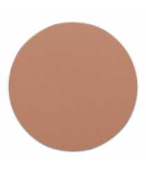 Пудра FREEDOM SYSTEM PERFECT FINISH PRESSED POWDER, тон 12