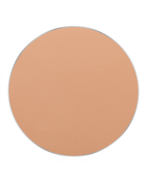 Пудра FREEDOM SYSTEM PERFECT FINISH PRESSED POWDER, тон 13