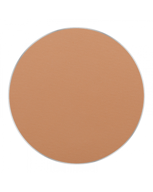 Пудра FREEDOM SYSTEM PERFECT FINISH PRESSED POWDER, тон 15