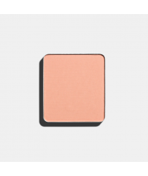 Тени для век Матовые системы FREEDOM SYSTEM EYE SHADOW MATTE NF 312