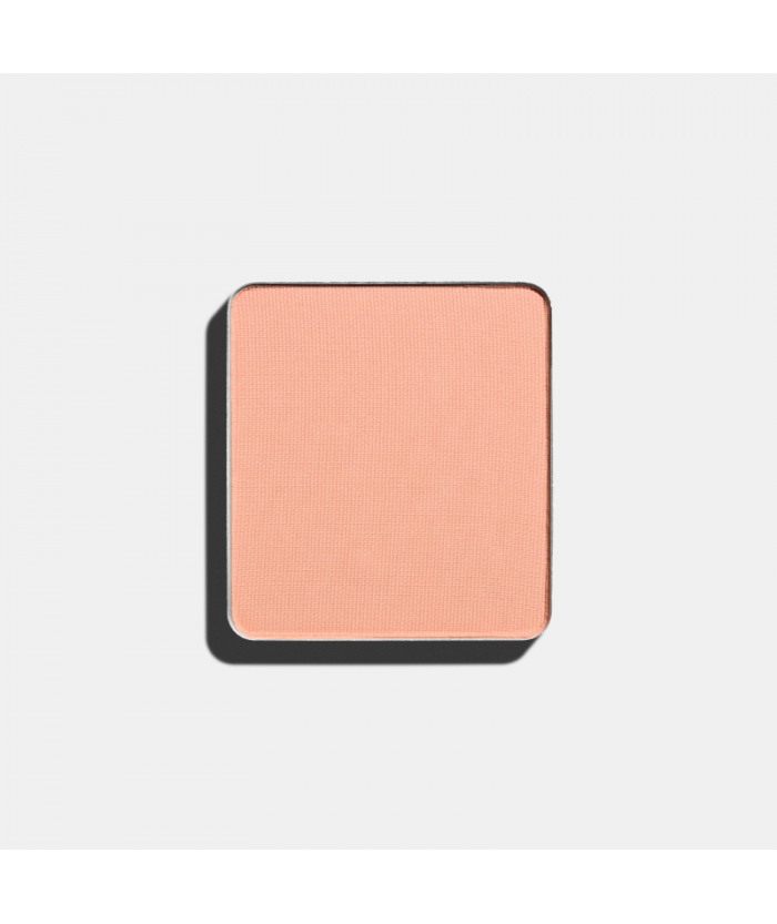 Тени для век Матовые системы  FREEDOM SYSTEM EYE SHADOW MATTE NF 312