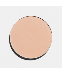 Пудра FREEDOM SYSTEM PERFECT FINISH PRESSED POWDER, тон 11