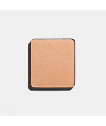 Тени для век Перламутровые INGLOT FREEDOM SYSTEM EYE SHADOW PEARL NF 393